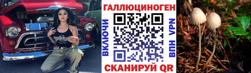 Галлюциногенные грибы MAGIC MUSHROOMS  omg   Омутнинск 
